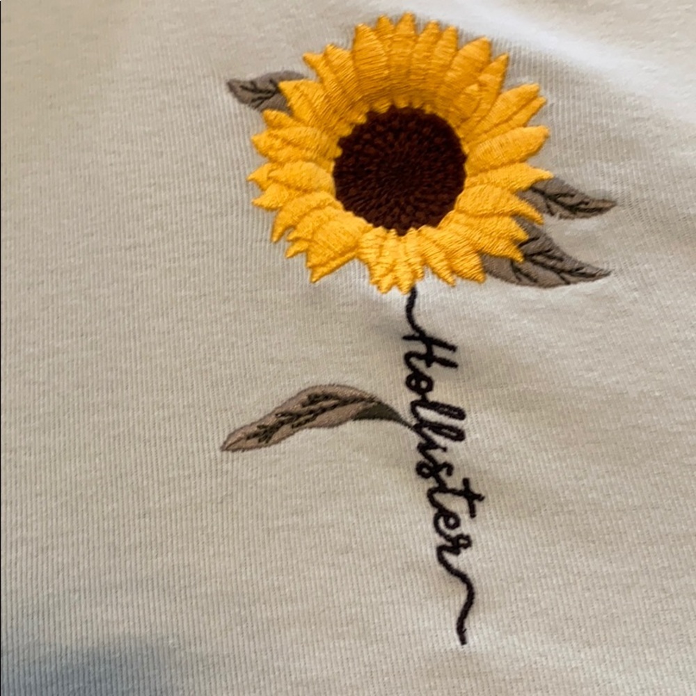 Hollister baby tee